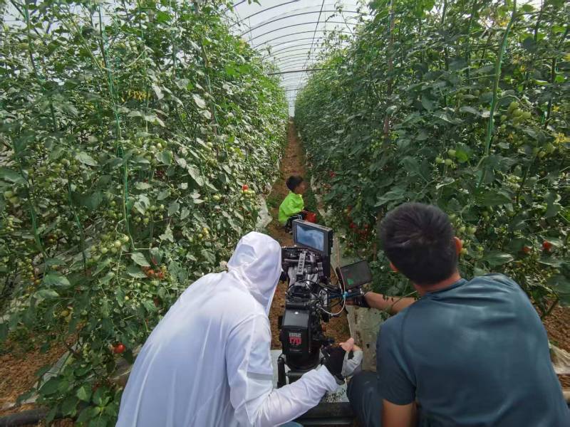 保山产品宣传视频拍摄公司进阶指南，助力品牌抢占传播高地